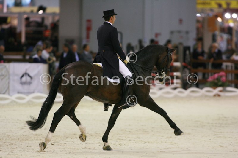 LAUGKS_MEGGLE\'S WELTTALL_MILANO_2011_SS2_2402.jpg